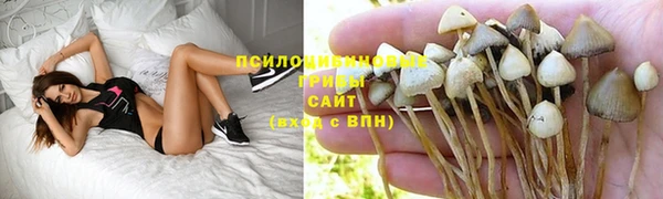 экстази Михайлов