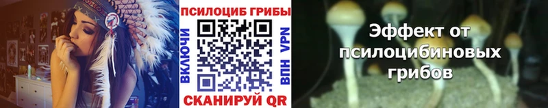 где купить наркотик  Рыльск  Галлюциногенные грибы Psilocybine cubensis 